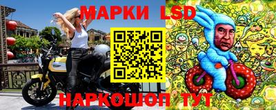 шишки Майкоп