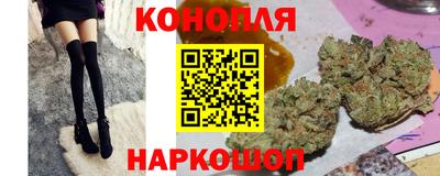 шишки Майкоп