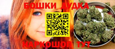 шишки Майкоп