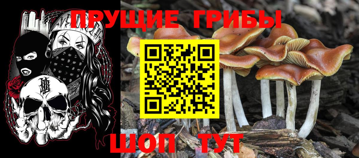 цены   Псилоцибиновые грибы ЛСД  Вход с VPN  Семёнов 